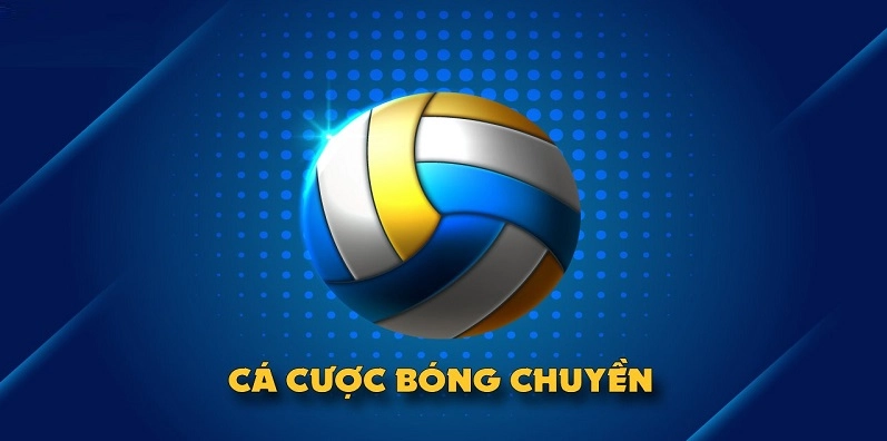 Cá cược bóng chuyền là gì