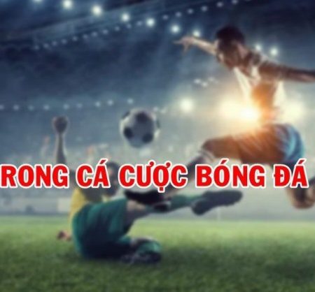 AOS trong cá độ bóng đá là gì? Tìm hiểu đôi nét về kèo AOS