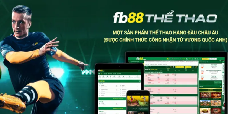 Tham gia những ván cược thể thao hấp dẫn