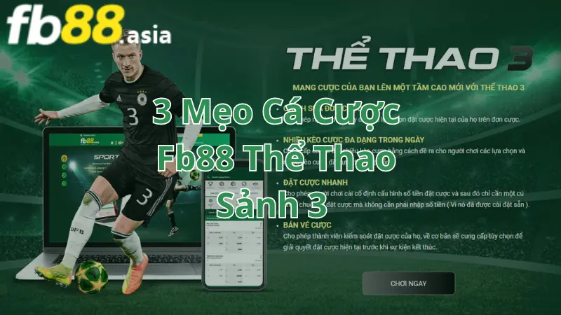 3-meo-ca-cuoc-fb88-the-thao-tai-sanh-3-1