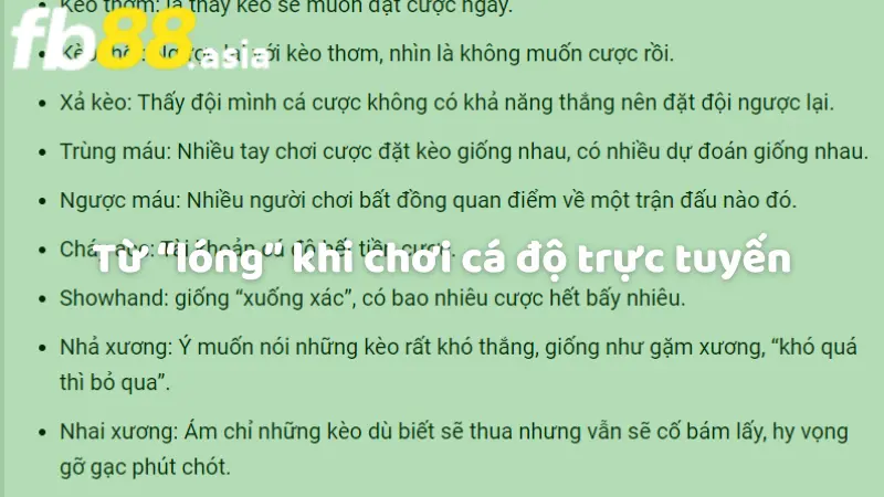 Từ “lóng” khi chơi cá độ trực tuyến